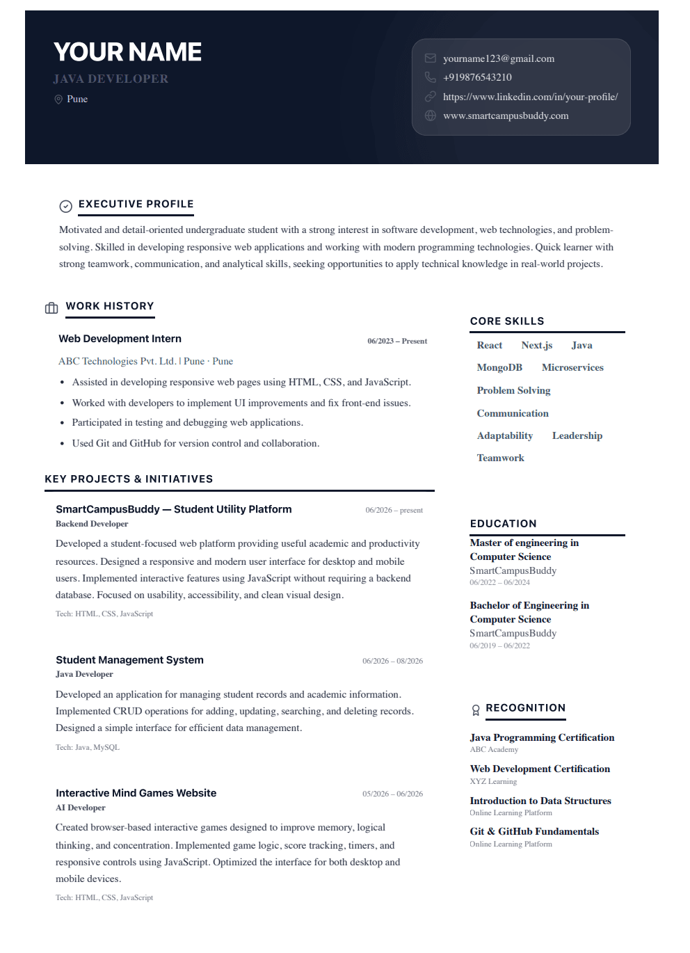 midnight resume template preview